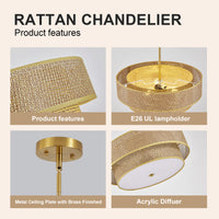 Aurelia Organic 3-Light Rattan & Brass Chandelier